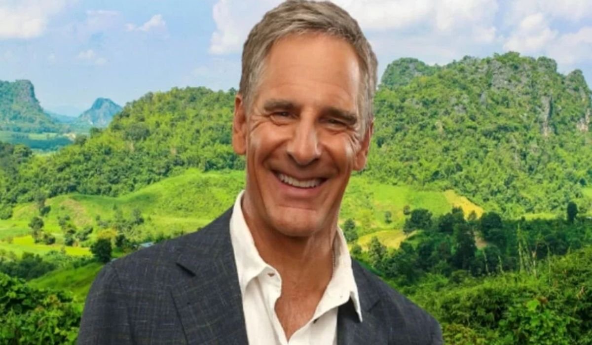 wil bakula